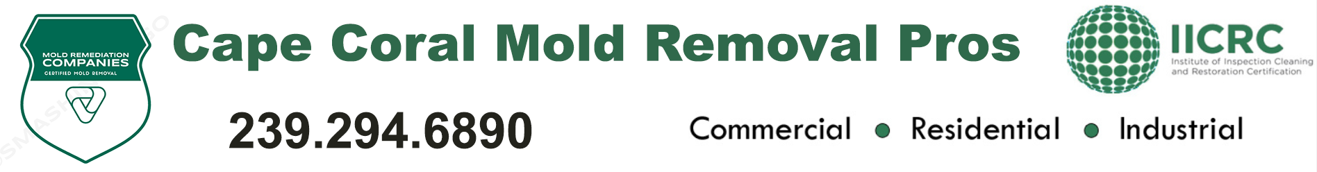 Cape Coral Mold Removal Pros